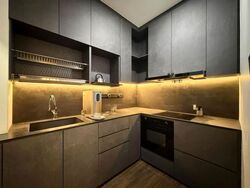 Palm Loft (D15), Apartment #587944161